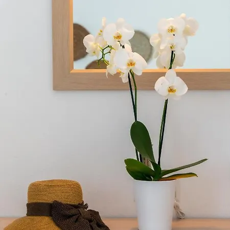 Hotel Galinos For Adults Only Parikia (Paros)