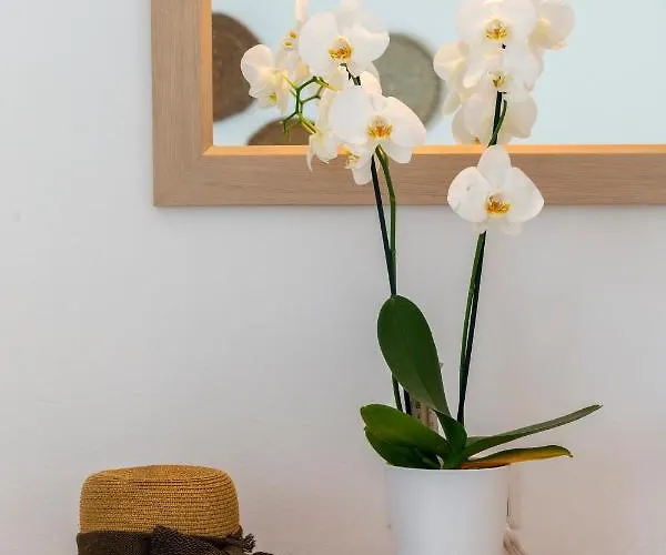 Hotel Galinos For Adults Only Parikia (Paros)